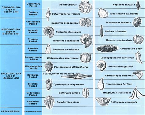 index fossils map.